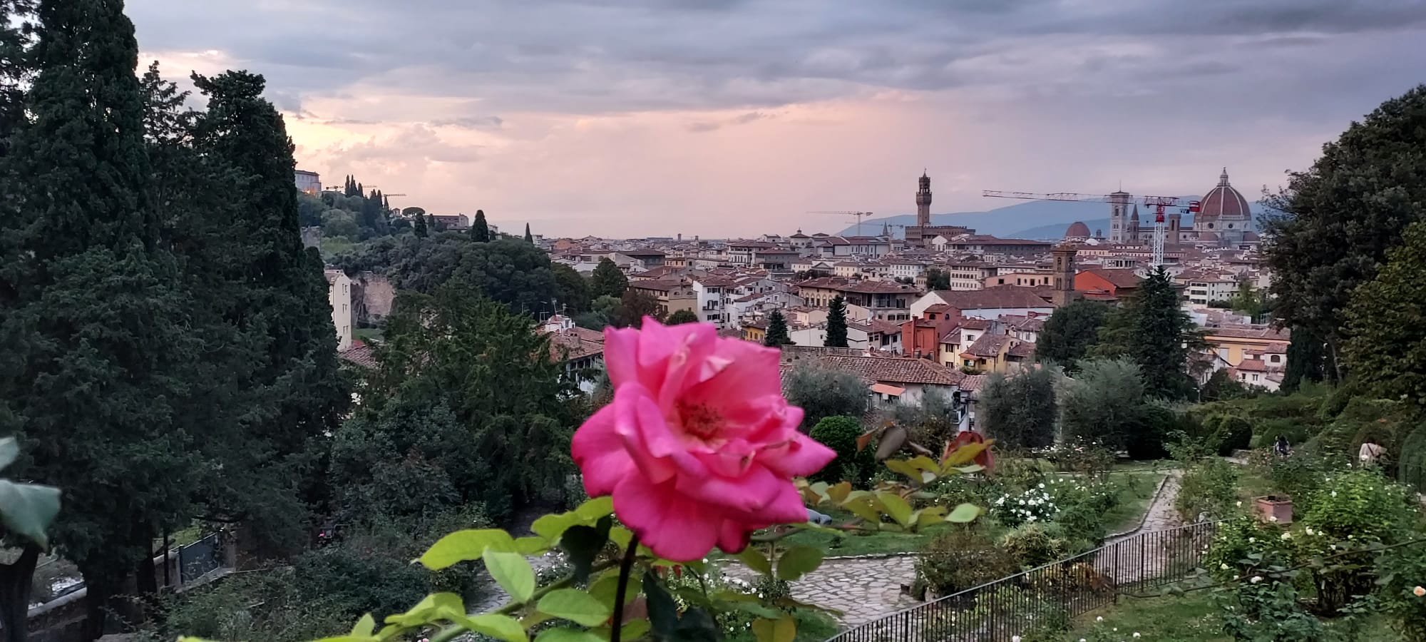 Il Giardino delle Rose