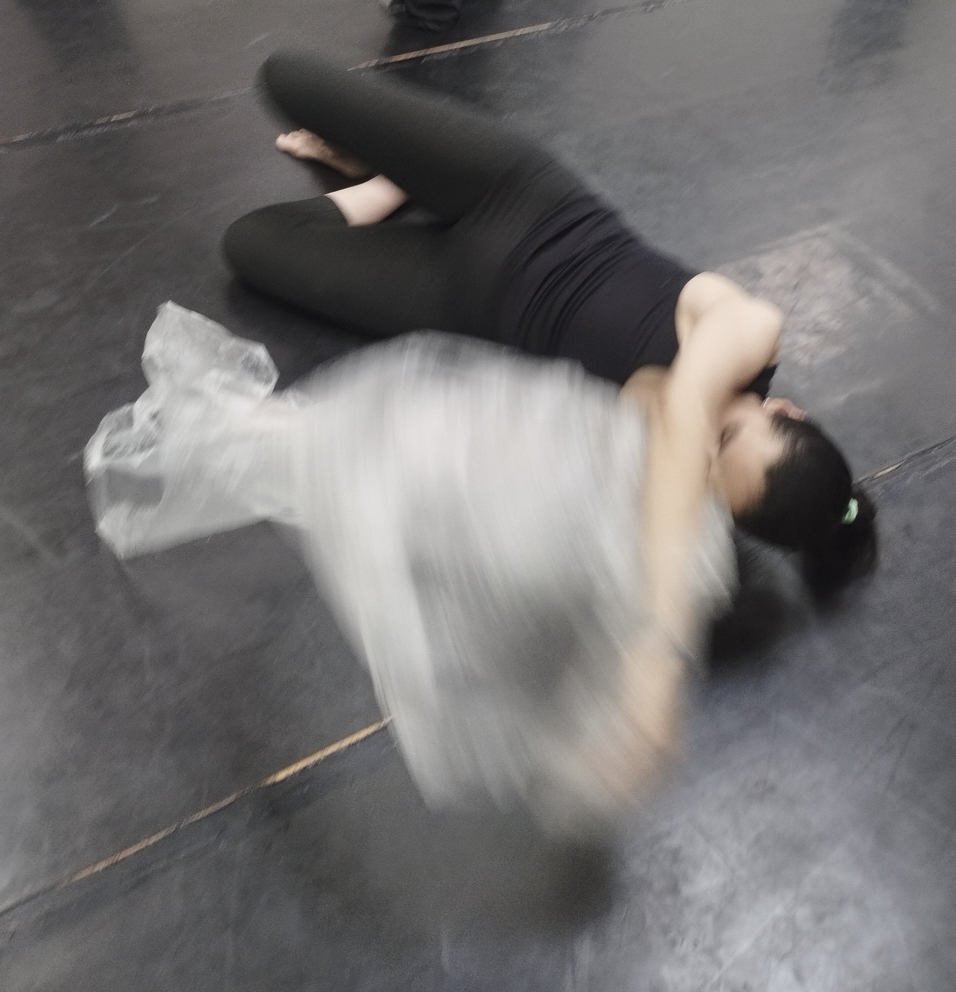 Cursos y talleres en México